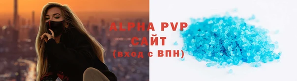 PSILOCYBIN Няндома