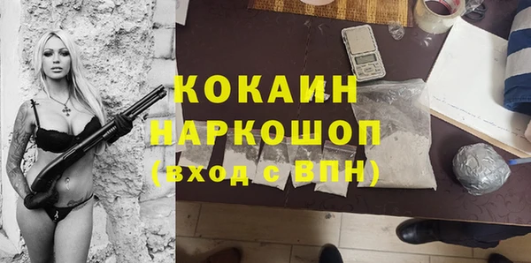 PSILOCYBIN Няндома