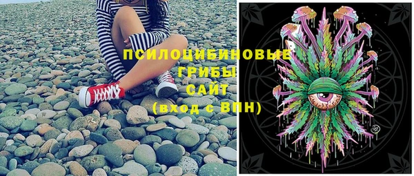 PSILOCYBIN Няндома
