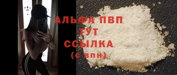 PSILOCYBIN Няндома