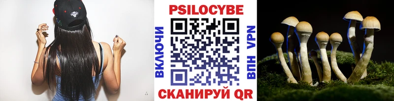 цена   Елец  Псилоцибиновые грибы прущие грибы 