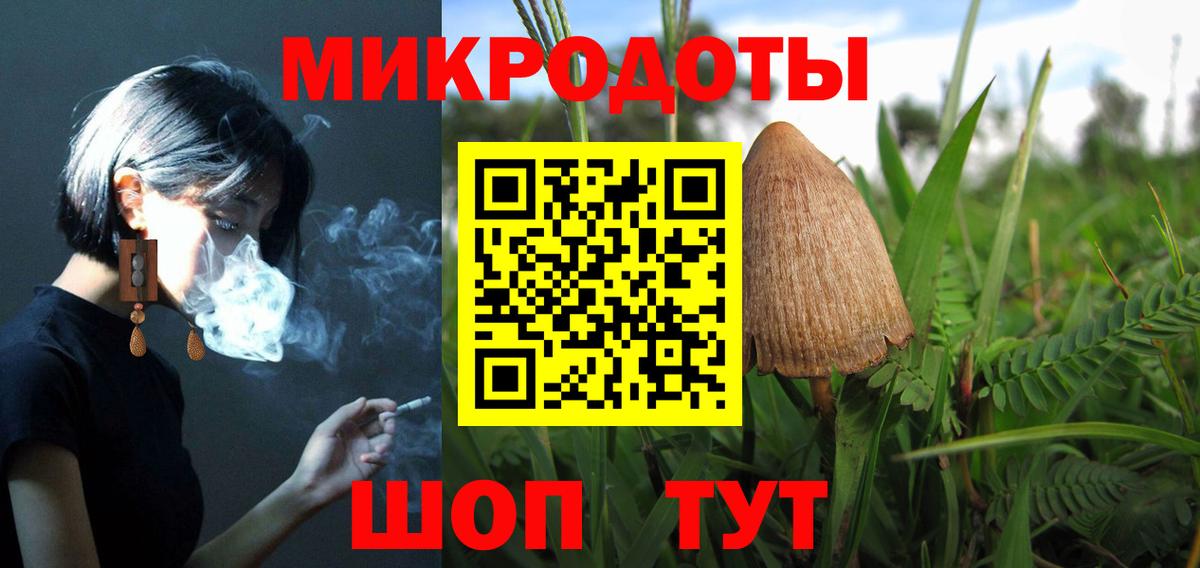 Галлюциногенные грибы Psilocybine cubensis Елец