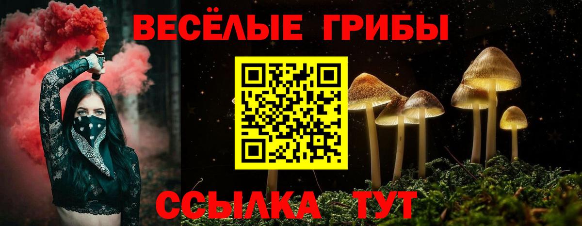 Псилоцибиновые грибы Psilocybe  Галлюциногенные грибы ЛСД  Елец  Вход с VPN 